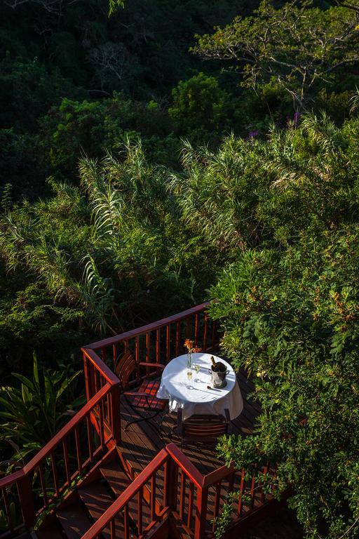 Loerie Hide Bed & Breakfast East London Dış mekan fotoğraf